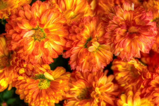 678643 (a): :2048x1365